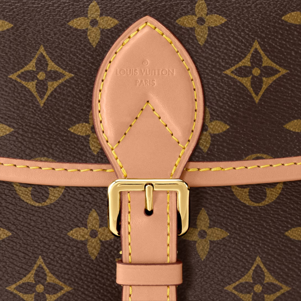 Louis Vuitton Diane Satchel Handbag M45985 – Monogram Canvas Revisits Designer LV Bag - Image 10