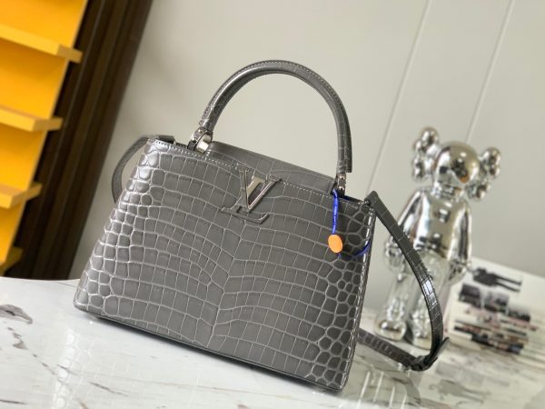 Louis Vuitton N99417 Capucines Gray